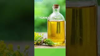 The Great Canadian Story of Canola