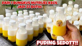 CUMA DARI 1 BUNGKUS NUTRIJEL KECIL JADI 22 BOTOL!! IDE JUALAN PALING RAME "PUDING SEDOT"