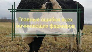 Главные ошибки переселенцев. Ценность пастбища и обо всём по маленьку.