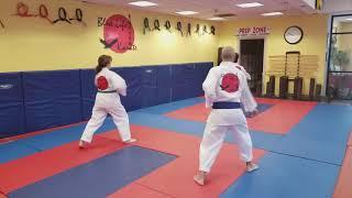 Blue Life Karate study guide 9 point drill