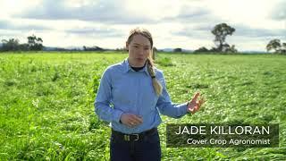 Multi Species Pasture Demonstration Project