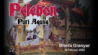 Pelebon Puri Agung Bitera & Puri Tanjung Full Vidio