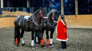 Friesian Liberty and Roman Riding Performance