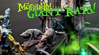 Custom Giant Rat Miniature for my Undead Mordheim Warband • FREE STLs