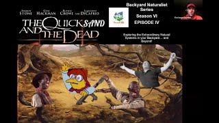 The Quicksand and the Dead - Backyard Naturalist Lecture Series