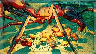 I BATTLE ENDLESS BIG HEADED ANTS With The UTLIMATE EVOLVED Ants in Empires Of The Undergrowth