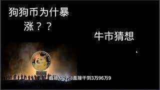 狗狗币为什么暴涨？ 狗狗币是韭菜的共识  关于这轮牛市的猜想