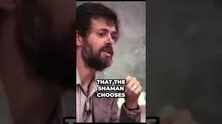 Shocking Insights  Psychedelic Experience Uncovered by Terence McKenna