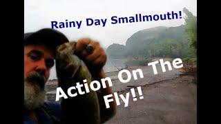 Rainy Day Smallmouth On the Fly!