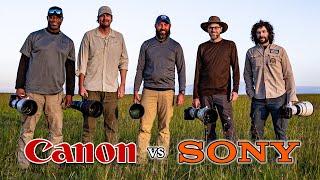 Canon vs Sony on Safari