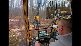 4K|*Dicke Buchen* WFW Ecolog 688F & Zufäller • Harvester & Chinsaw • OnBoard • Loggingvideo