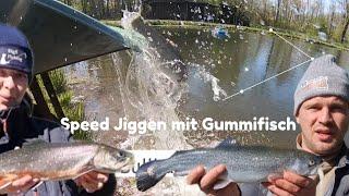 Speed Jiggen  mit Gummifisch Bullbait auf Saibling & Forelle #angeln #fishing #trout #forelle #forel