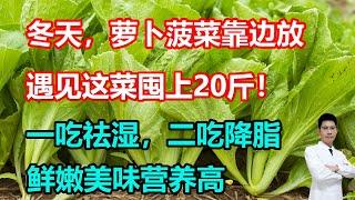 冬天，萝卜菠菜靠边放，遇见这菜囤上20斤！一吃祛湿，二吃降脂，鲜嫩美味营养高 #李医生谈健康