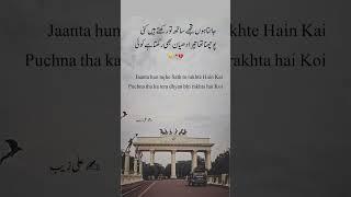 Urdu poetry  #urdupoetry #poetry #sadpoetry #love #urdu #urdushayari #sadwrites