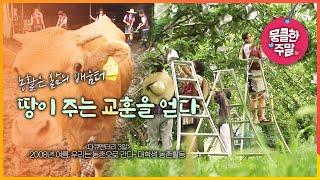 [뭉클한 주말 #150] 농활은 삶의 배움터, 땅이 주는 교훈을 얻다 | 2008년 여름 우리는 농촌으로 간다 [다큐3일 080712 KBS 방송]