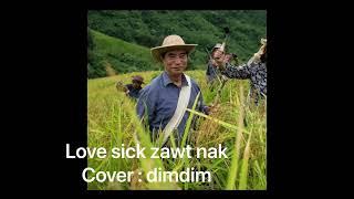 LOVE SICK ZAWT NAK COVER : DIMDIM