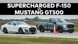 Supercharged 2021 F-150 vs GT500 DRAG RACE! // VENOM 775 by Hennessey