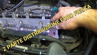 Distribuzione Ford Fiesta 2011 mot. SNJB