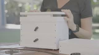 Adding A Honey Super | Sydney Stingless Bees