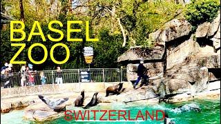 Basel Zoo Switzerland | Happy Animals | A day well spent