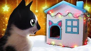 GIFT FOR NEW YEAR 2018 FOR CATS! CAT KID AND CAT Murko MOVED TO A HUGE HOUSE! life hacking DAY