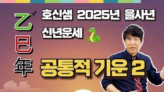 호신샘 2025년 을사년 신년운세  공통적 기운 2