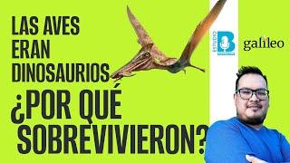 #Galileo | Las aves eran dinosaurios, ¿Por qué sobrevivieron? | Observan pez, declarado extinto