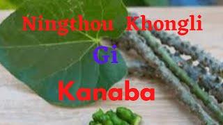 Ningthou Khongli/Giloy gi kanaba#health benefits@ranjitatuber5491