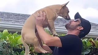 Rescue dog's obsessed with dad