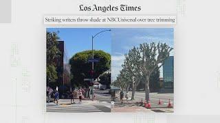 Verify | Yes, the viral photo of the trimmed trees outside an NBCUniversal building is real