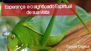 Esperança em sua casa Significado Espiritual VEDA # 05