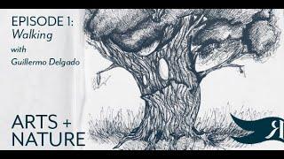Arts + Nature with Guillermo Delgado - Episode 1: Walking