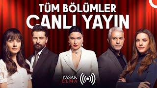 Yasak Elma Canlı Yayını Tüm Bölümler 7/24 #canlıyayın #yasakelma