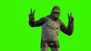 gorilla green screen