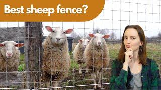 Electric Netting & More Fence Options for Sheep