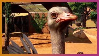  3 NEW Animals! Ostrich, Warthog, Dart Frog! | Planet Zoo Update