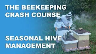 Seasonal Beehive Management - Beekeeping Basics Part 9 - Beekeeping Crash Course