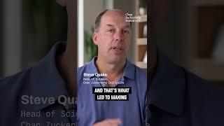 Mapping the Road to Health with CELLxGENE