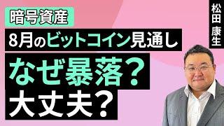 【暗号資産】なぜ暴落？大丈夫？～8月のビットコイン見通し～（松田 康生）【楽天証券 トウシル】