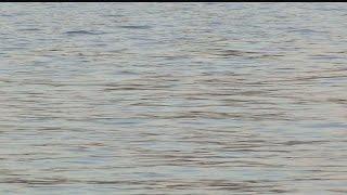 Fort Myers dumping treated wastewater into Caloosahatchee River