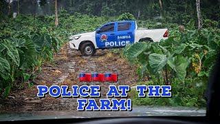 WHY POLICE SHOWED UP AT THE FARM | SAMOA  | MATAMAUGAAGROFARMING