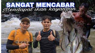 GABUNGAN DENGAN ABANG@PEMBURU IKAN AIR TAWAR, DAPAT IKAN KAYANGAN.