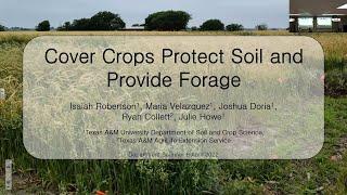 “Cover Crops Protect Soil and Provide Forages”