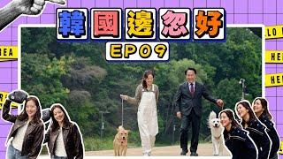 【韓國邊忽好】 EP09｜韓國寵物邊忽好｜貓貓｜狗狗｜寵物中心｜寵物餐廳｜寵物醫院｜好好制作｜HOY TV