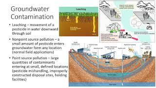 Environmental Concerns of Pesticide Use