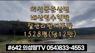 #642 의성땅TV 전,계획관리 1528평 1.8억 (당12만원) 저수지뷰 자두밭, 전원생활강추 #의성부동산#군위부동산#의성땅#군위땅#의성촌집#군위촌집#싼땅#임야#자연인#묘터