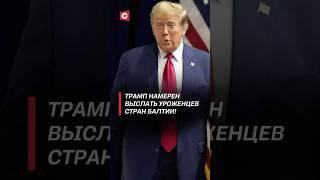 Трамп намерен выслать уроженцев стран Балтии! #политика #трамп #сша #новости #мигранты