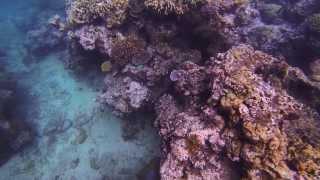 Vanuatu - Snorkeling at Hideaway Island - Part 1