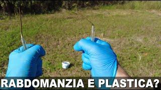 Rabdomanzia: A richiesta un Test Bacchette da Rabdomante su Plastica Funzionerà?