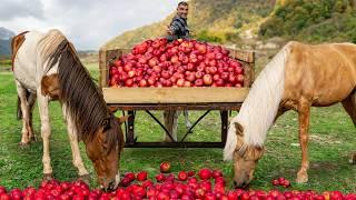 You Can't Buy This Juice in Stores! Preserving Fresh Apple Juice for Winter